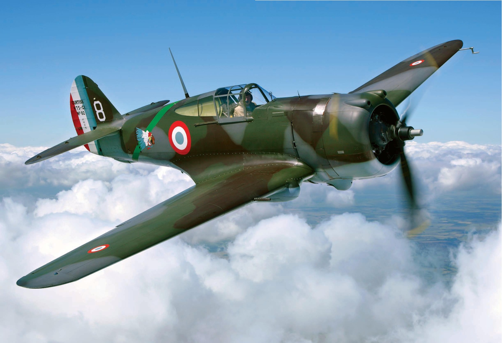 DESPERATE FIGHT! French fighters of WW II