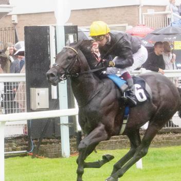 RASH DASH FOR GUINEAS PLACE