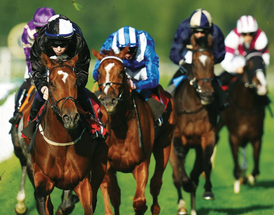 IT'S ISE UP FOR HAGGAS FILLY