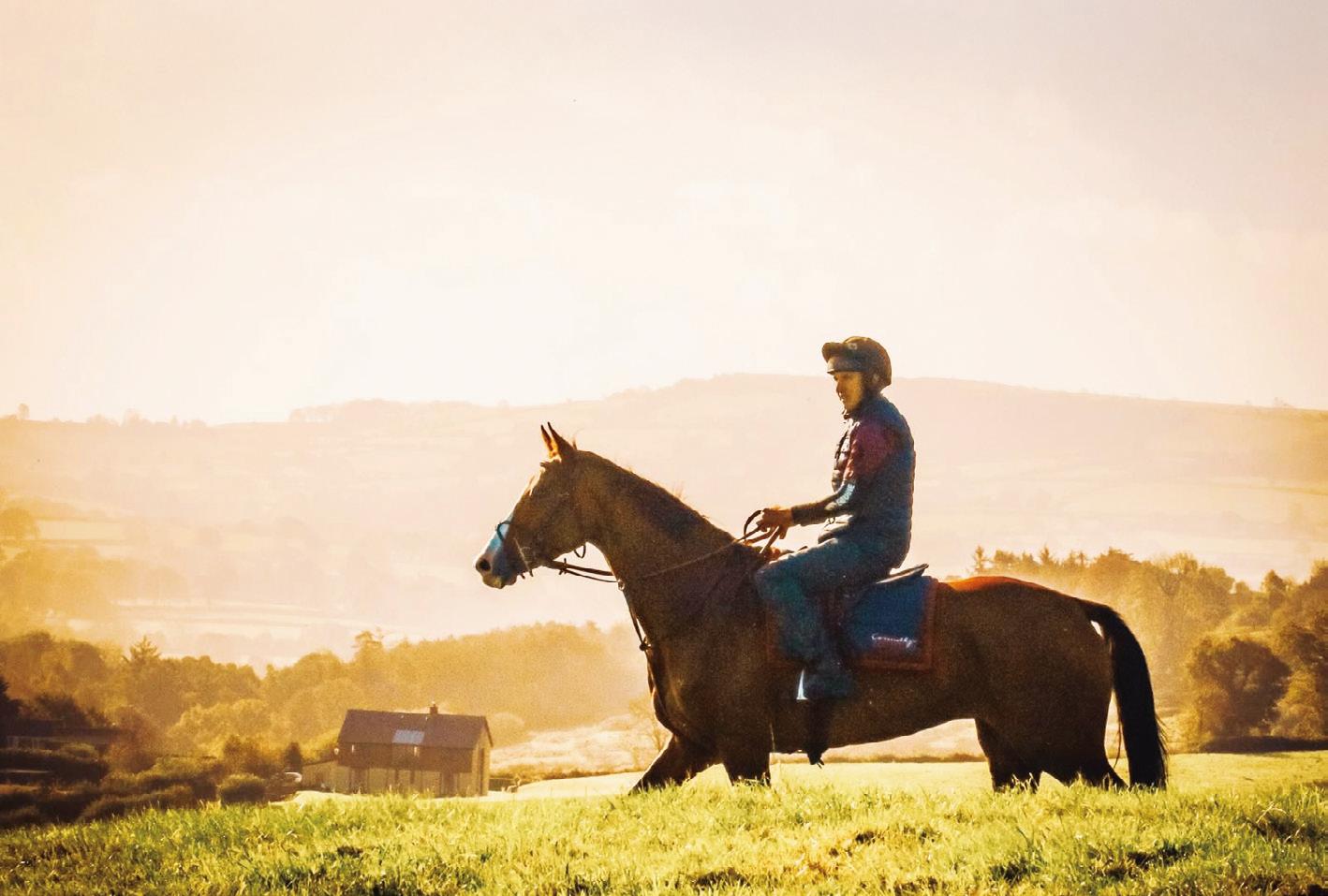 JOSH MADE HIS POINT!