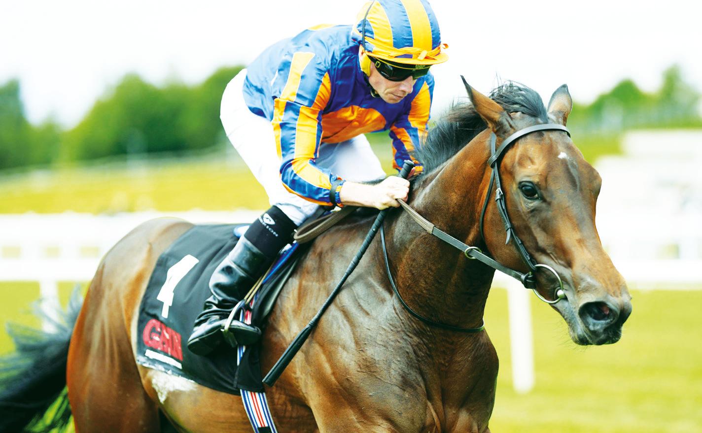 AID AIM IS TRUE AND SO PRECISE