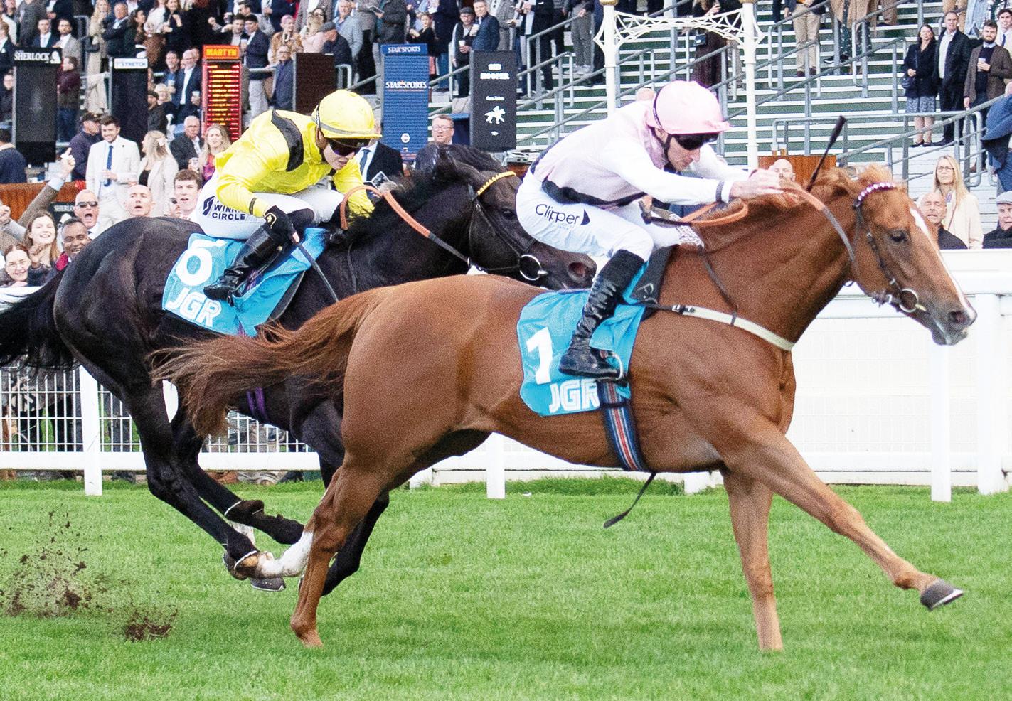 APOLLO'S FIT TO LAND ONE