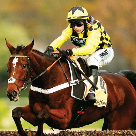 DINO SET TO SOAR