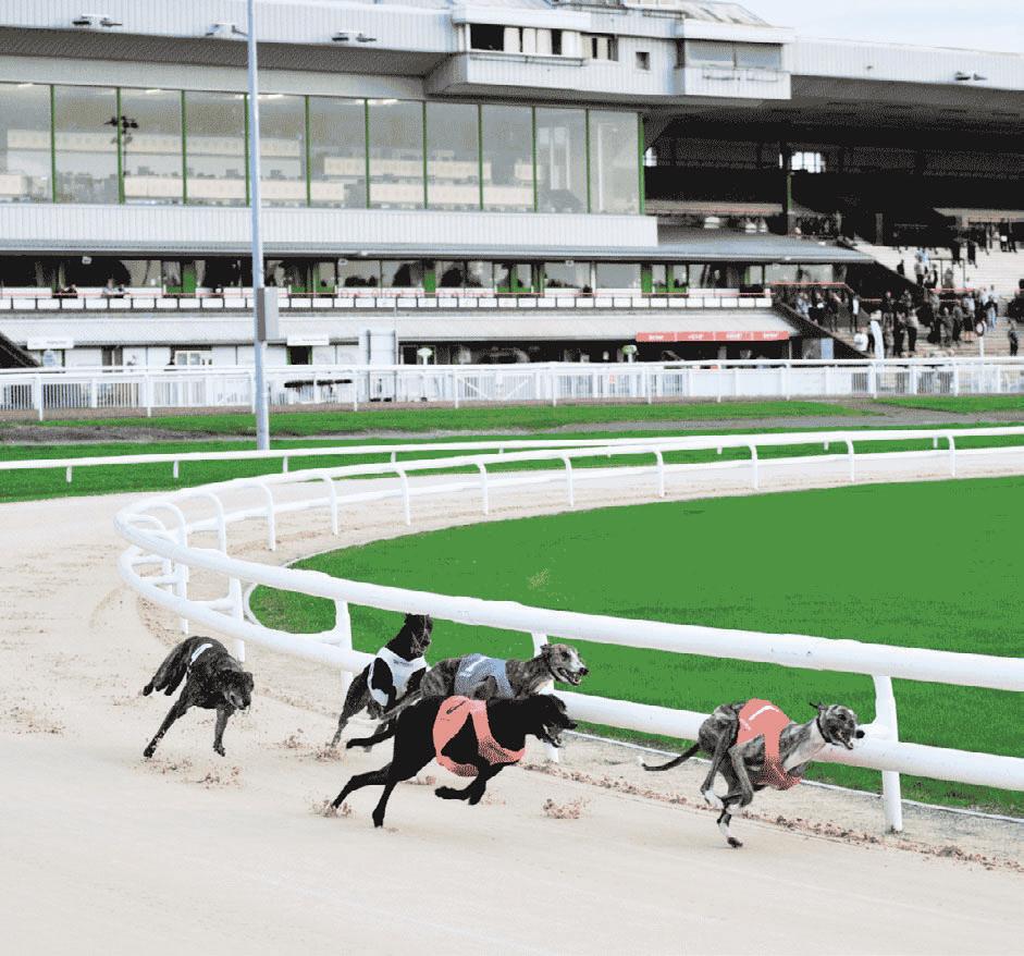 FUN AND FEAST AT DOGS TRACK