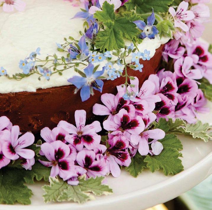 Edible Flowers That delightfully Elevate Pastries & Desserts