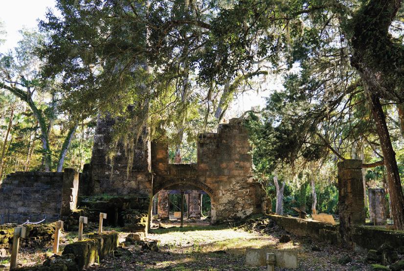 BULOW PLANTATION RUINS, FLORIDA
