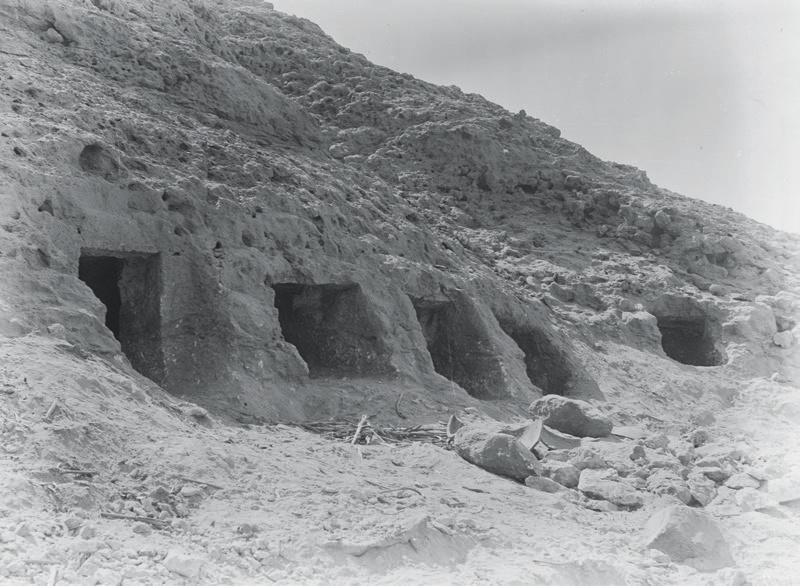 THE EGYPTIAN SEQUENCE