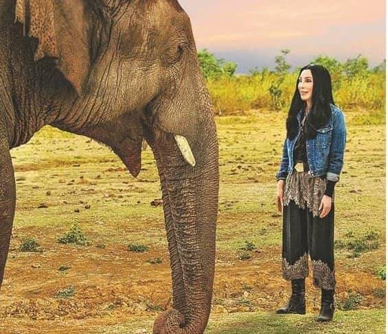 CHER'S SINGING IS ELE-PHANTASTIC!