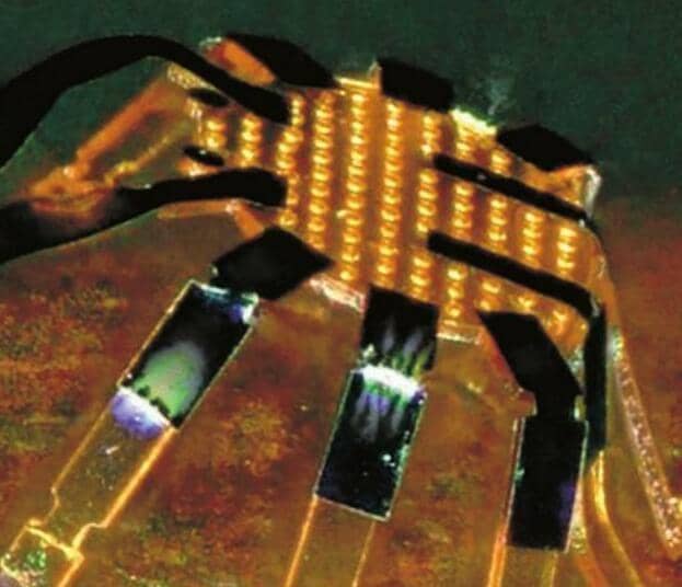 BREAKTHROUGH! ROBOT CRABS EAT TUMORS!