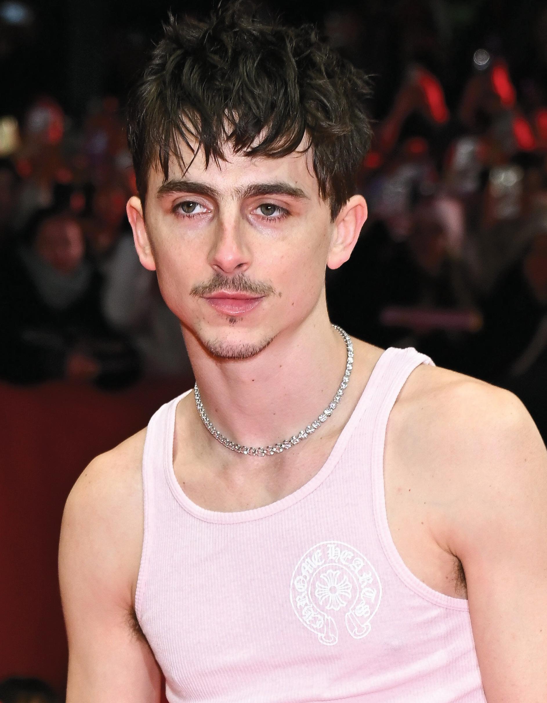 TIMOTHEE'S WILD NIGHTS