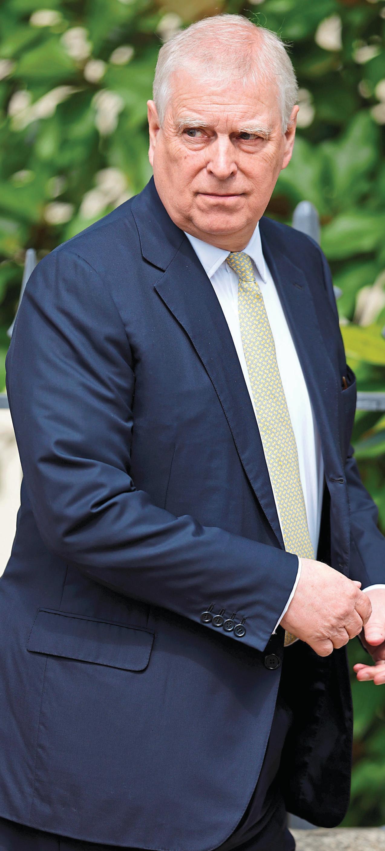 ANDREW'S VILE NEW EPSTEIN LIE SURFACES