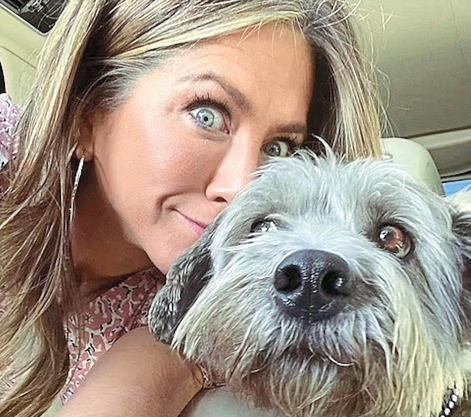 JEN & JIM'S DOGGY DRAMA: FROM BEL-AIR TO THE BRONX?!