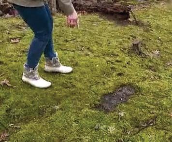 BIGFOOT KICKING IT IN BUCKEYE STATE