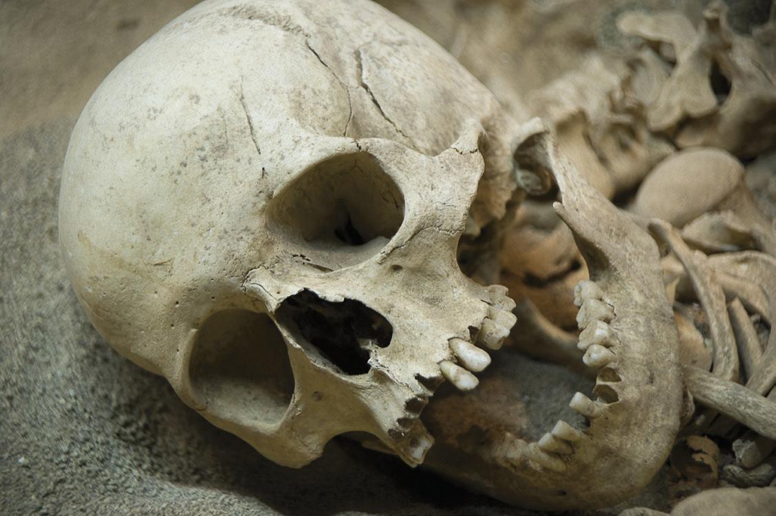 HEAD-SCRATCHING DISCOVERY!