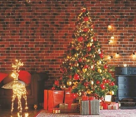Yule be sorry! CHRISTMAS TREES MAKE YOU SICK!