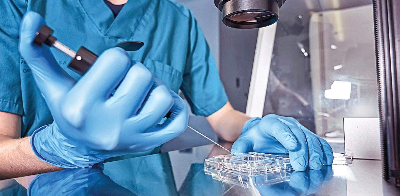 BONE MARROW HOPE FOR SICKLE CELL