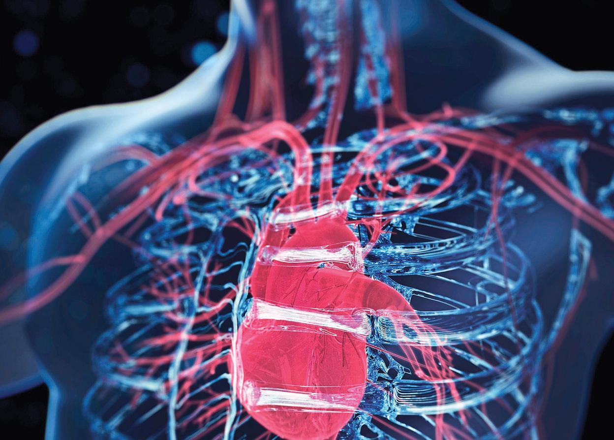 SLOW DOWN AGING HEART!