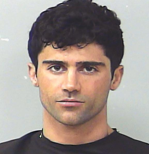 DEMI EX IN BIZARRE BRUSH WITH LAW