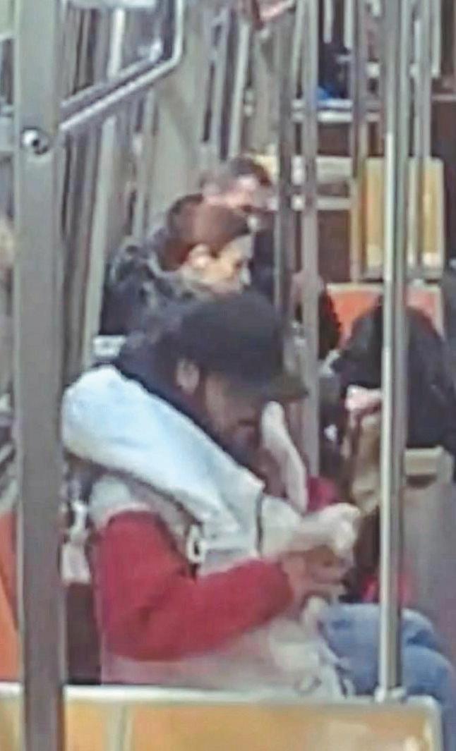PLUCKY STRAPHANGER FOWLS UP RUSH HOUR