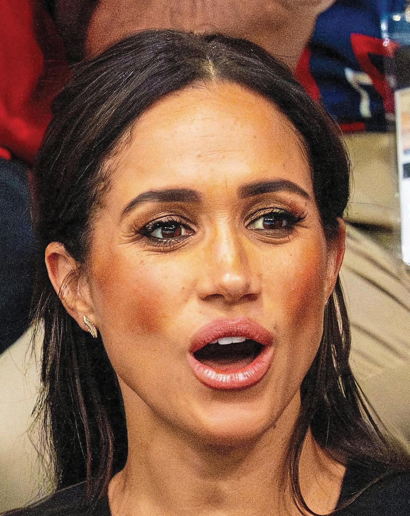 DESPISED DUCHESS DEMANDS NETFLIX IMAGE FIX!