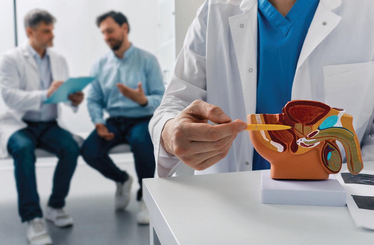 PLASTICS REAL PROBLEM FOR PROSTATES