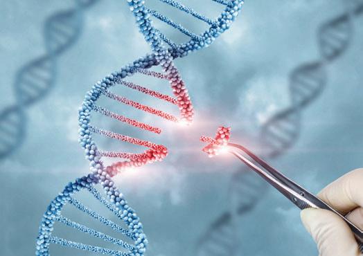 NEW DRUG CUTS CHOLESTEROL