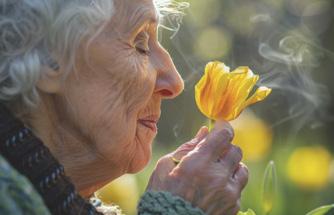 KOKU KAYBI VE ALZHEIMER İLİŞKİSİ