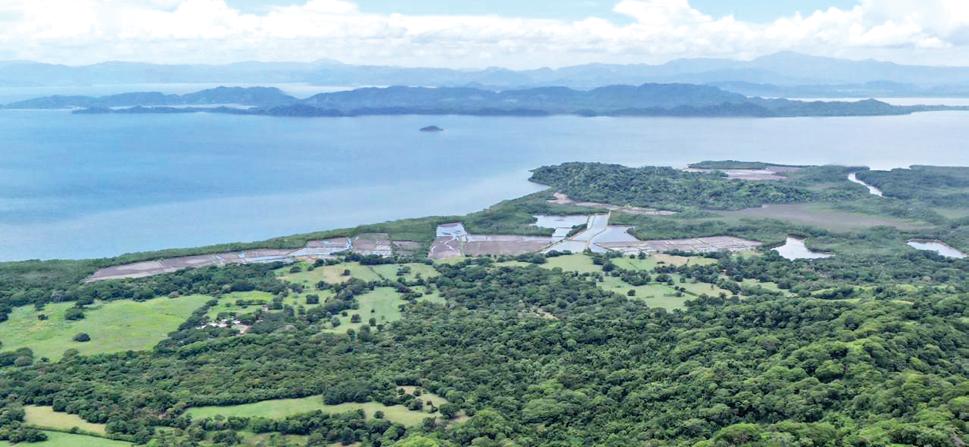 TERRAQUINTAS: CREA COMUNIDADES SOSTENIBLES