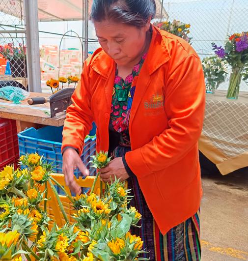 EXPORTACIONES DE FLORES Y FOLLAJES TRANSFORMAN VIDAS EN GUATEMALA
