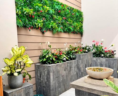 PLANTIA REVOLUCIONA LA CREACIÓN DE ESPACIOS VERDES DECORATIVOS