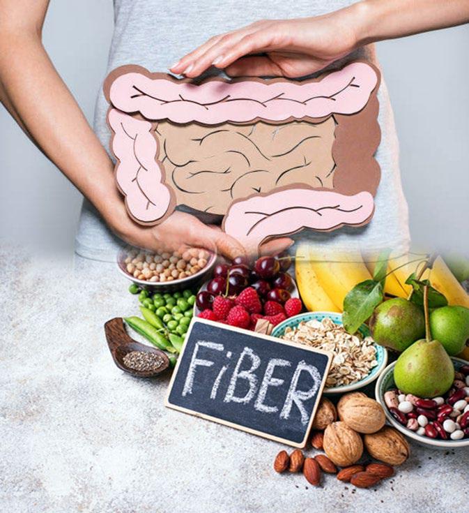 The Role of Fiber in Colon Health