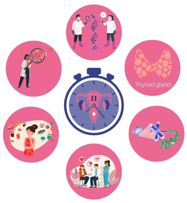 Accelerating Action on Perimenopause and Menopause