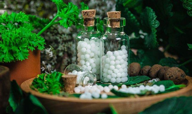 Empower to Heal: Unlocking Career Possibilities in Homeopathy for Students