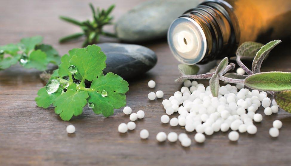 Gandhi's Non-Violence and Homeopathy: A Shared Philosophy of Healing