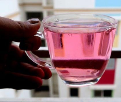 Pathimugam (Sappanwood) The Pink Water