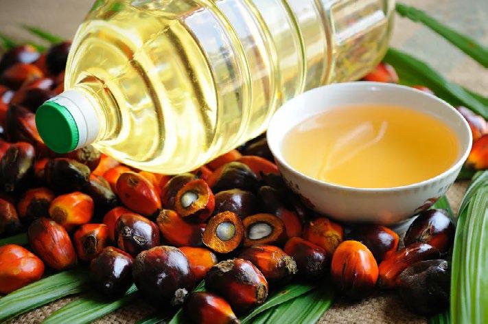 Palm Oil Beyond the Package Rethinking Its Nutritional Role and Value in Modern Diets
