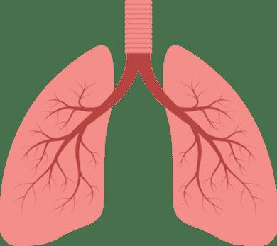 Breathe Easy India Protecting Respiratory Health