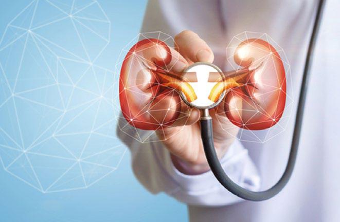 Hypertension and Kidney Health