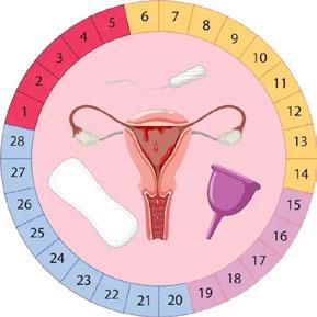 Why Am I Not Ovulating? Common Causes and Treatments