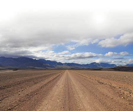 Recovery of SA agriculture sector possible in 2025