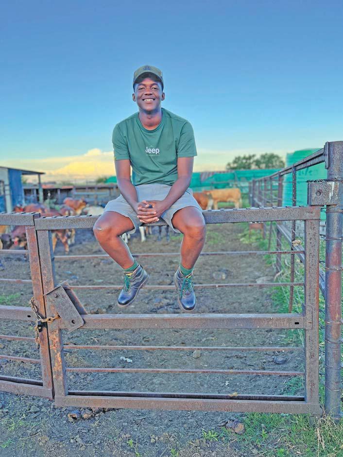 Study urges new way for youth agri-involvement