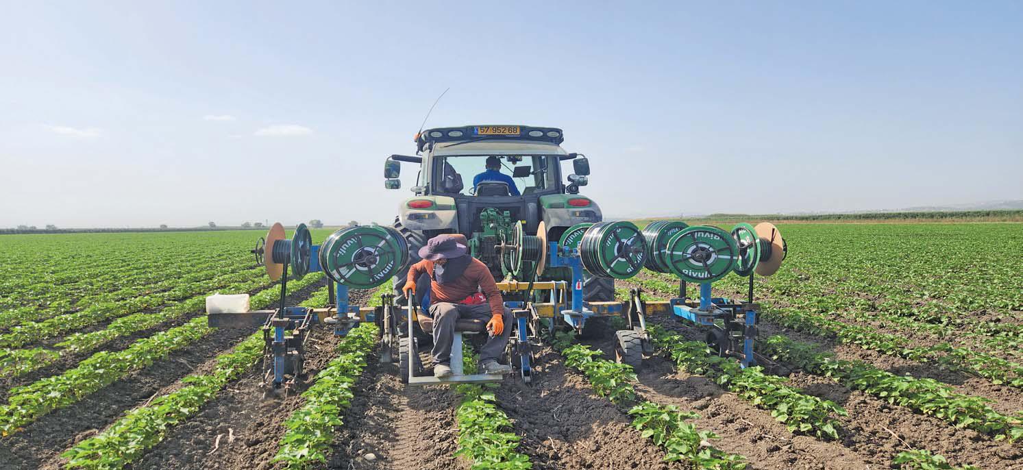 Addressing water scarcity and other agri issues through innovative irrigation