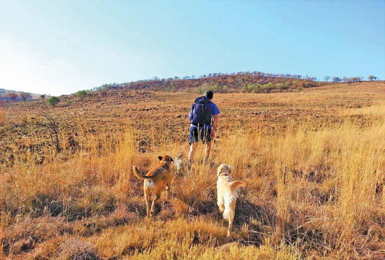 Pet-friendly farm stay