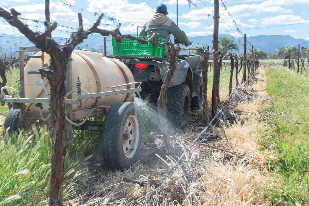 The wise use of water in agriculture