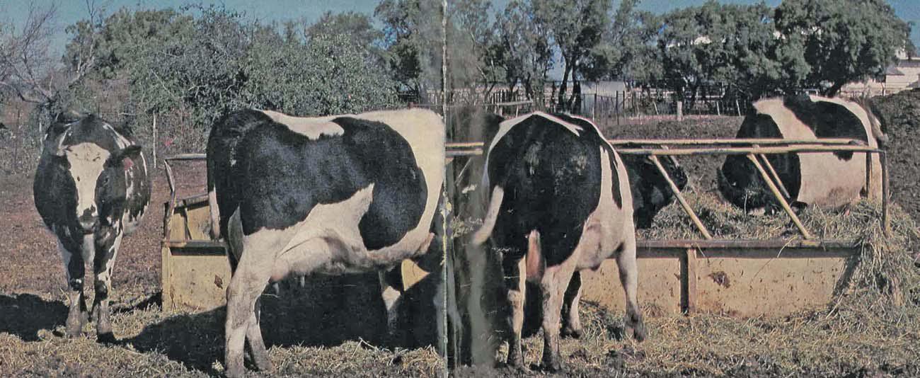 Let the figures do the talking