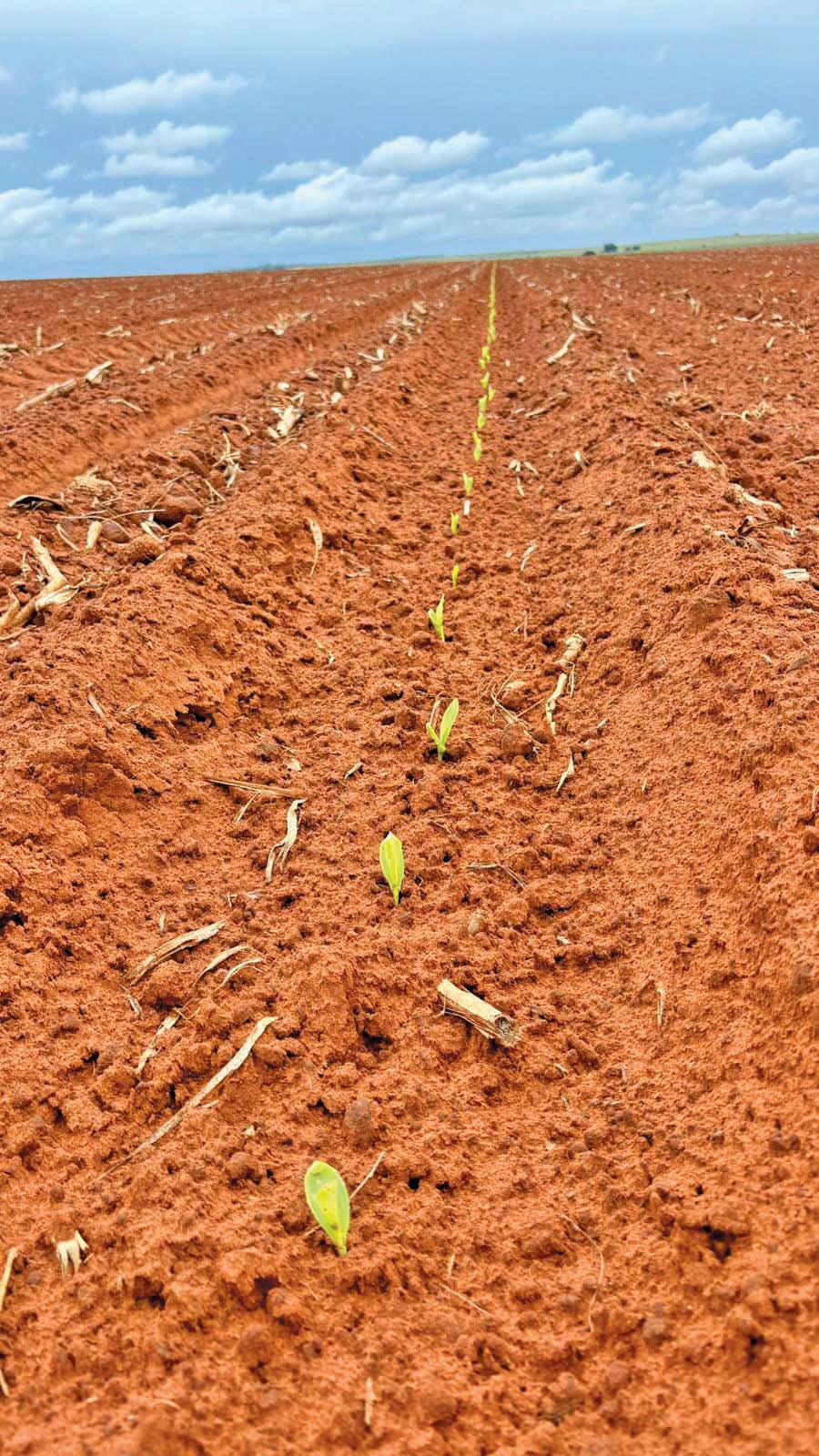 'Make yourself indispensable to ensure your future in farming'