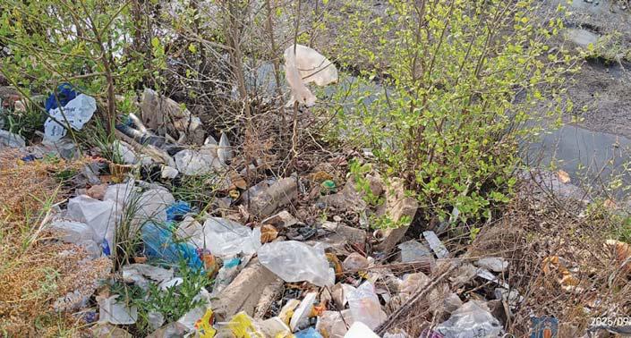 Grabouw business community bands together to clean up the Swannie River