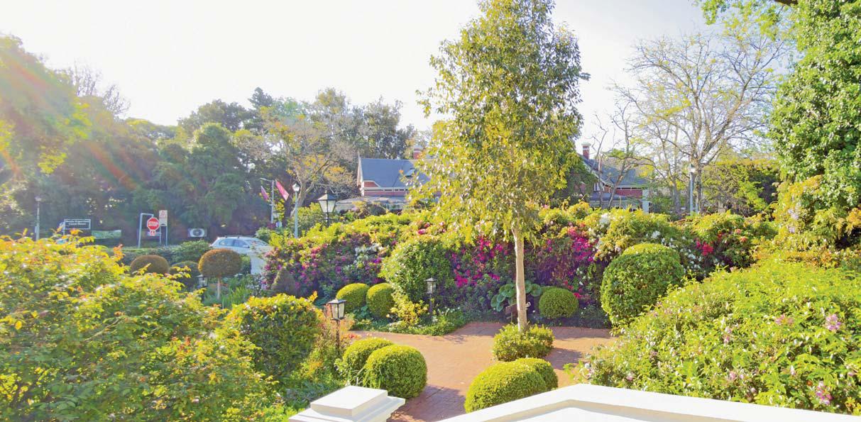 Stellenbosch in November: a seasonal gem and the perfect time to visit