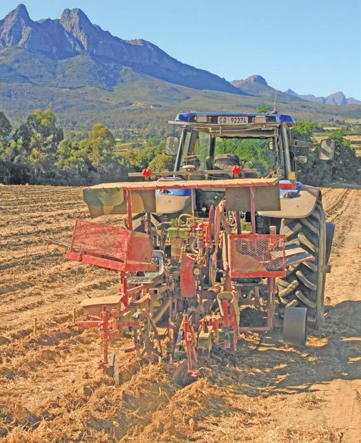 Getting to the root of healthy vineyards
