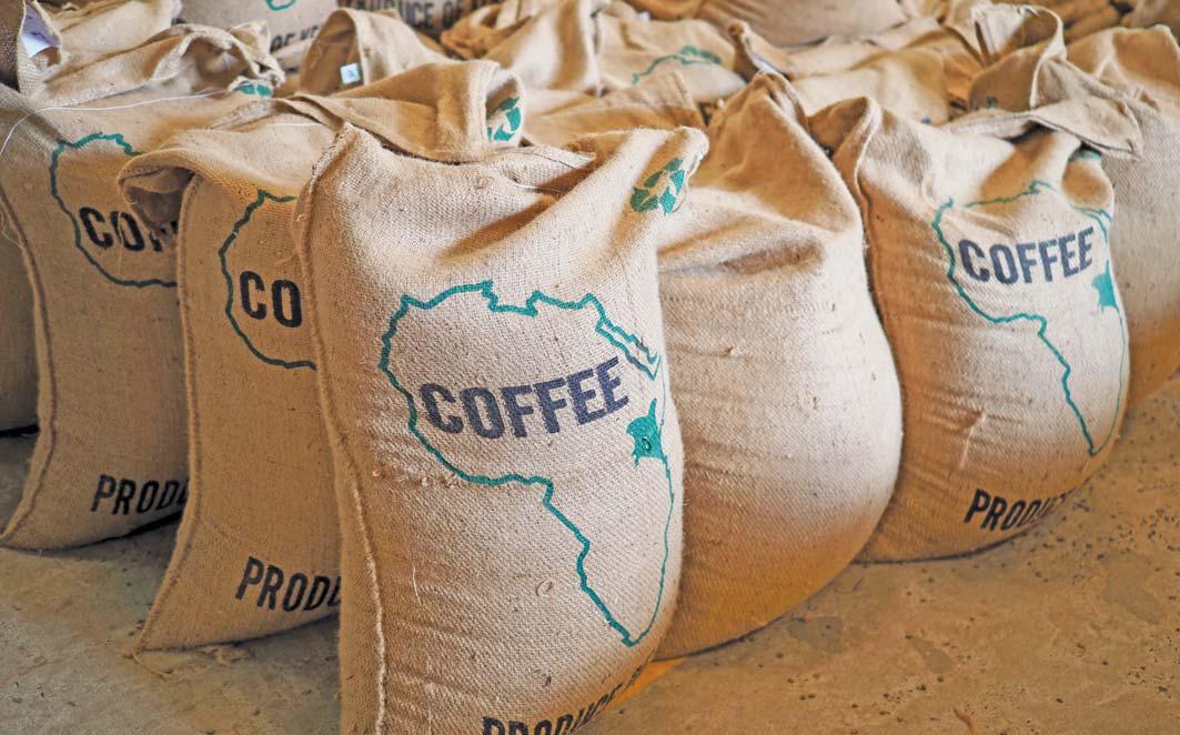 How women are transforming coffee production in Kenya